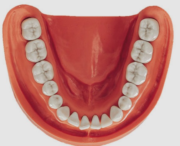 Modelo De Simulación - KAVO