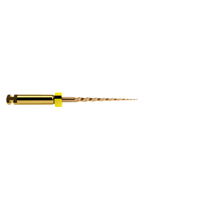 Lima Protaper Gold 19 mm Sx - DENTSPLY