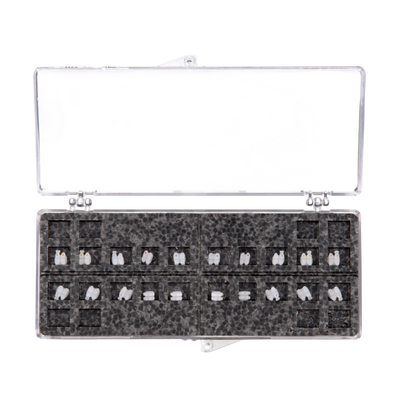 Caso Bracket Gemini Clear Ceram Mbt Hk 022 - SOLVENTUM