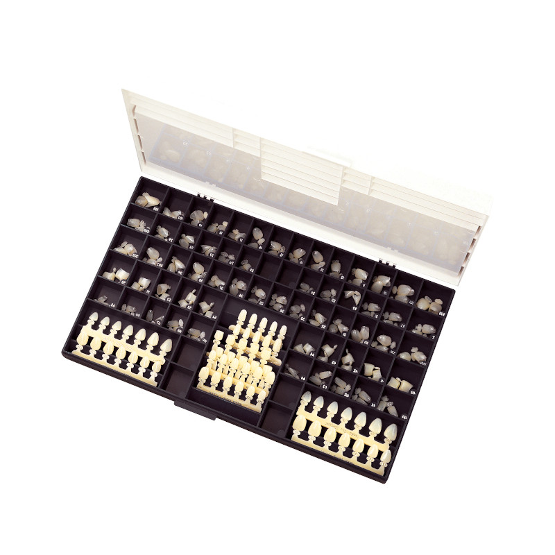 Kit Corona de Policarbonatos 180 uds - SEPTODONT