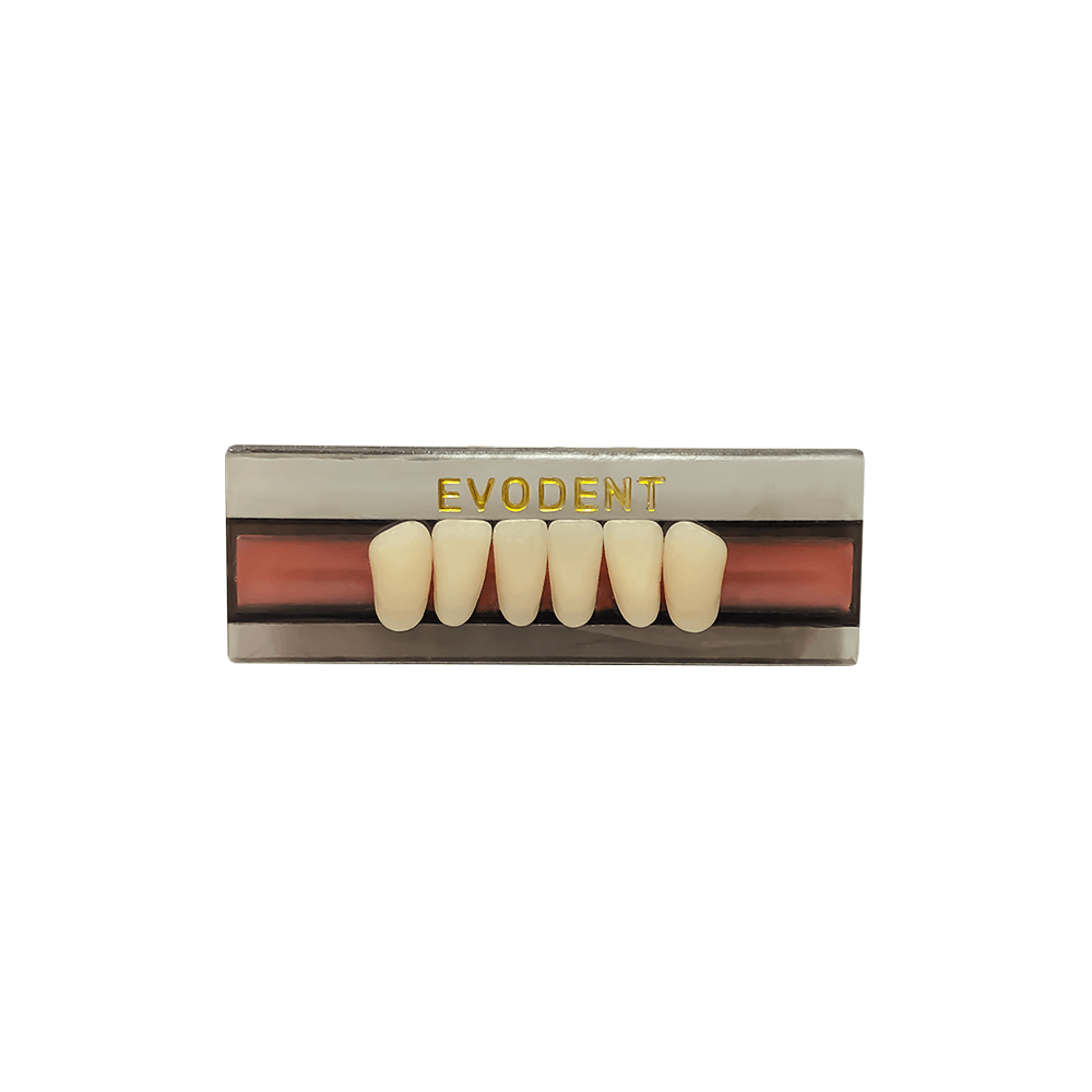 Diente Duodent V Anterior Inferior K12I Tableta