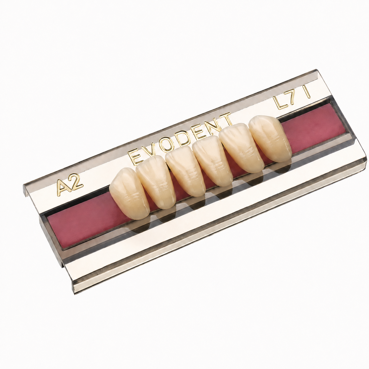 Diente Duodent V Anterior Inferior L7 I Tableta A2 - EVODEN