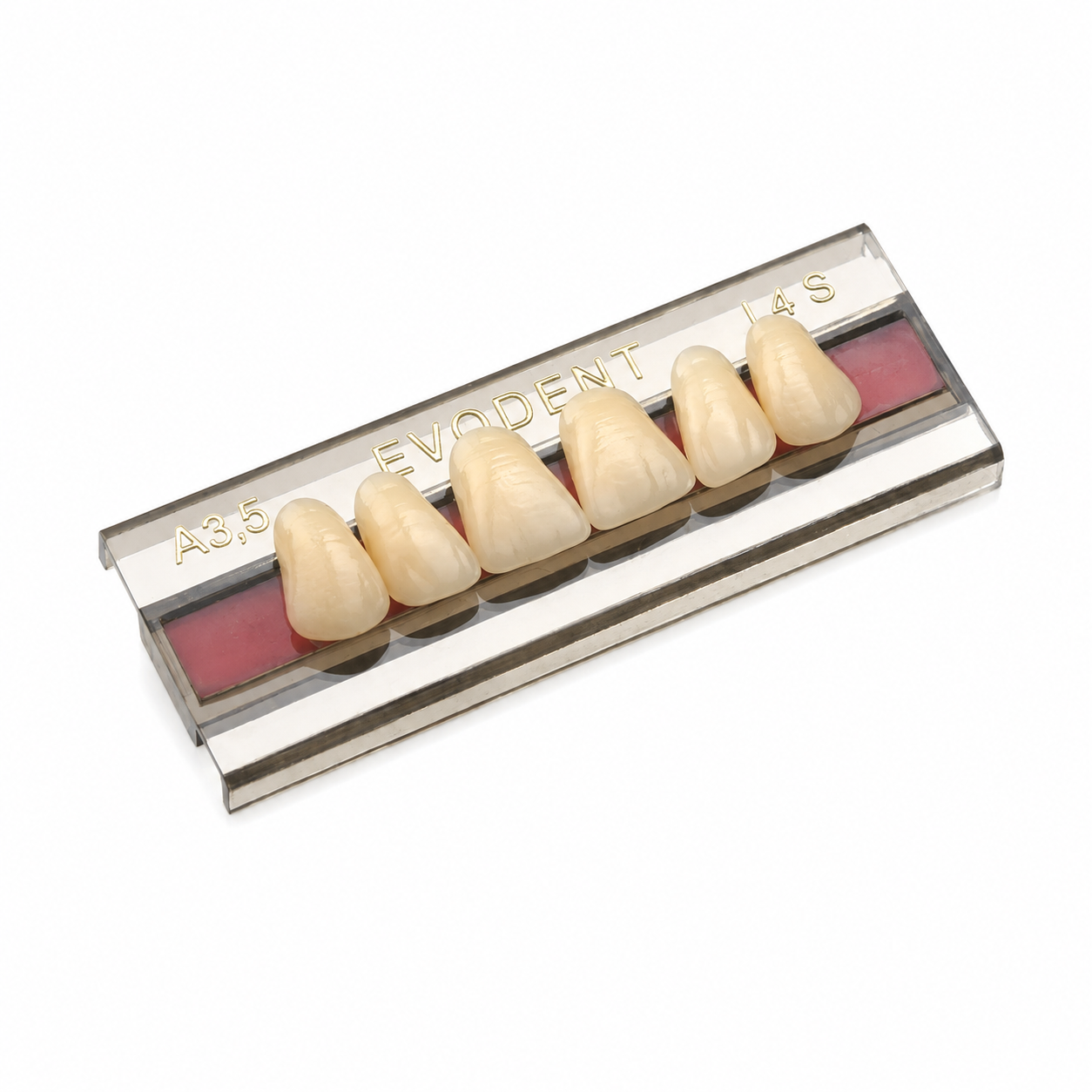 Diente Duodent V Anterior Superior L4 S Tableta A3,5 - EVODEN