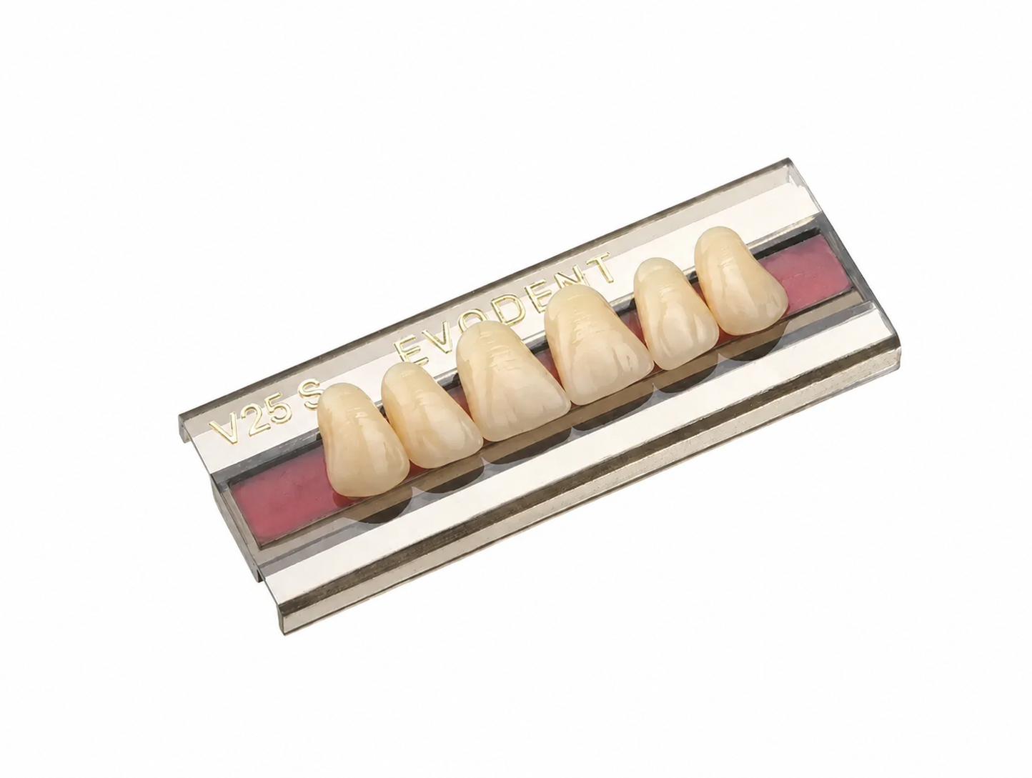 Diente Duodent V Anterior Superior V25 S Tableta - EVODEN