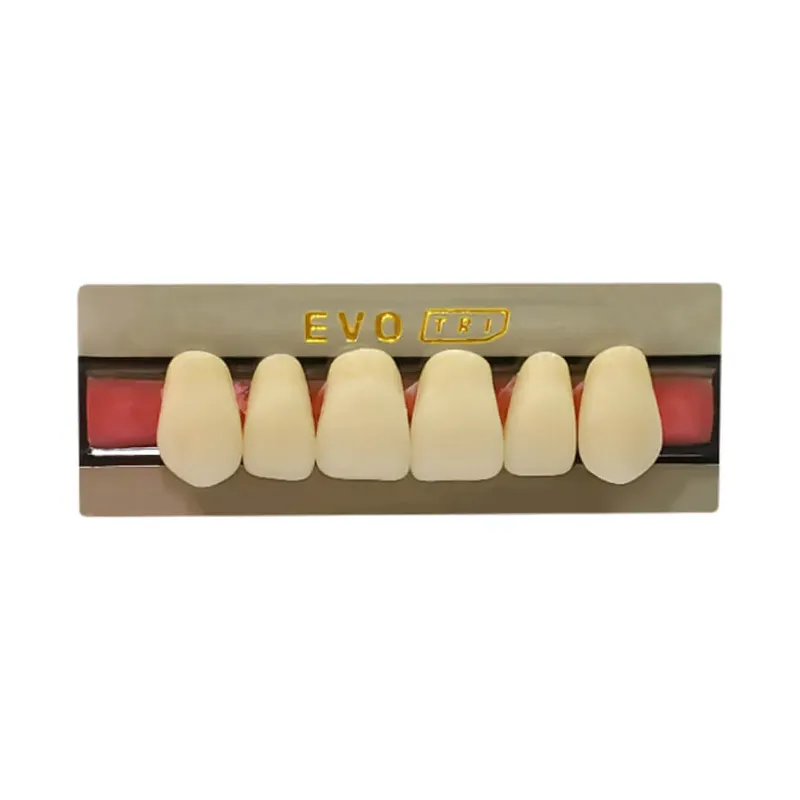 Diente Duodent V Anterior Superior V3P S Tableta - EVODEN