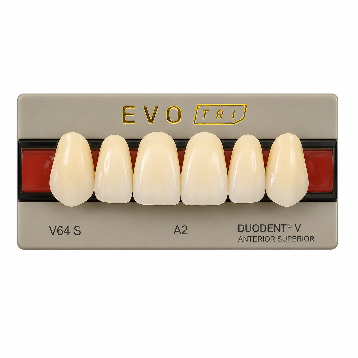 Diente Duodent V Anterior Superior V64 S Tableta A2 - EVODEN