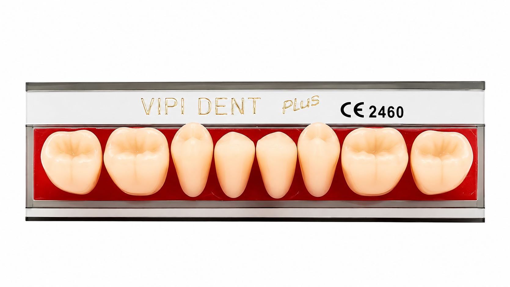 Tableta Diente Vipi V Anterior Inferior 266I - DENTSPLY