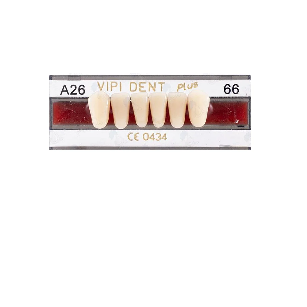 Tableta Diente Vipi V Anterior Inferior A26I - DENTSPLY