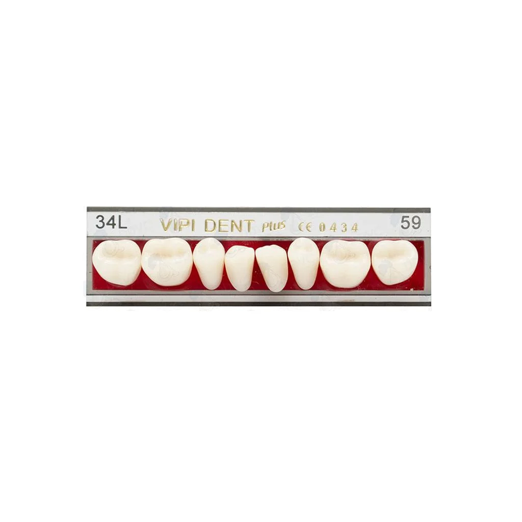 Tableta Diente Vipi V Posterior Inferior 34LI - DENTSPLY